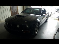 BUY FORD MUSTANG 2006 2DR CPE GT PREMIUM, i-44autoauction