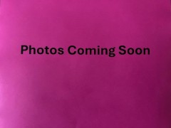 BUY CHEVROLET CORVETTE 1981, i-44autoauction