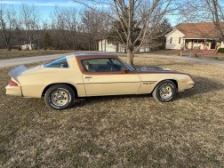 1979 Chevrolet Camero